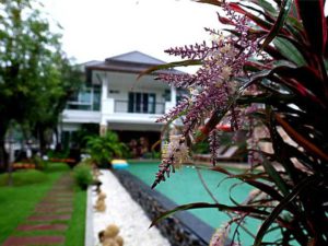 Best Private Villas in Chiang Mai, Thailand